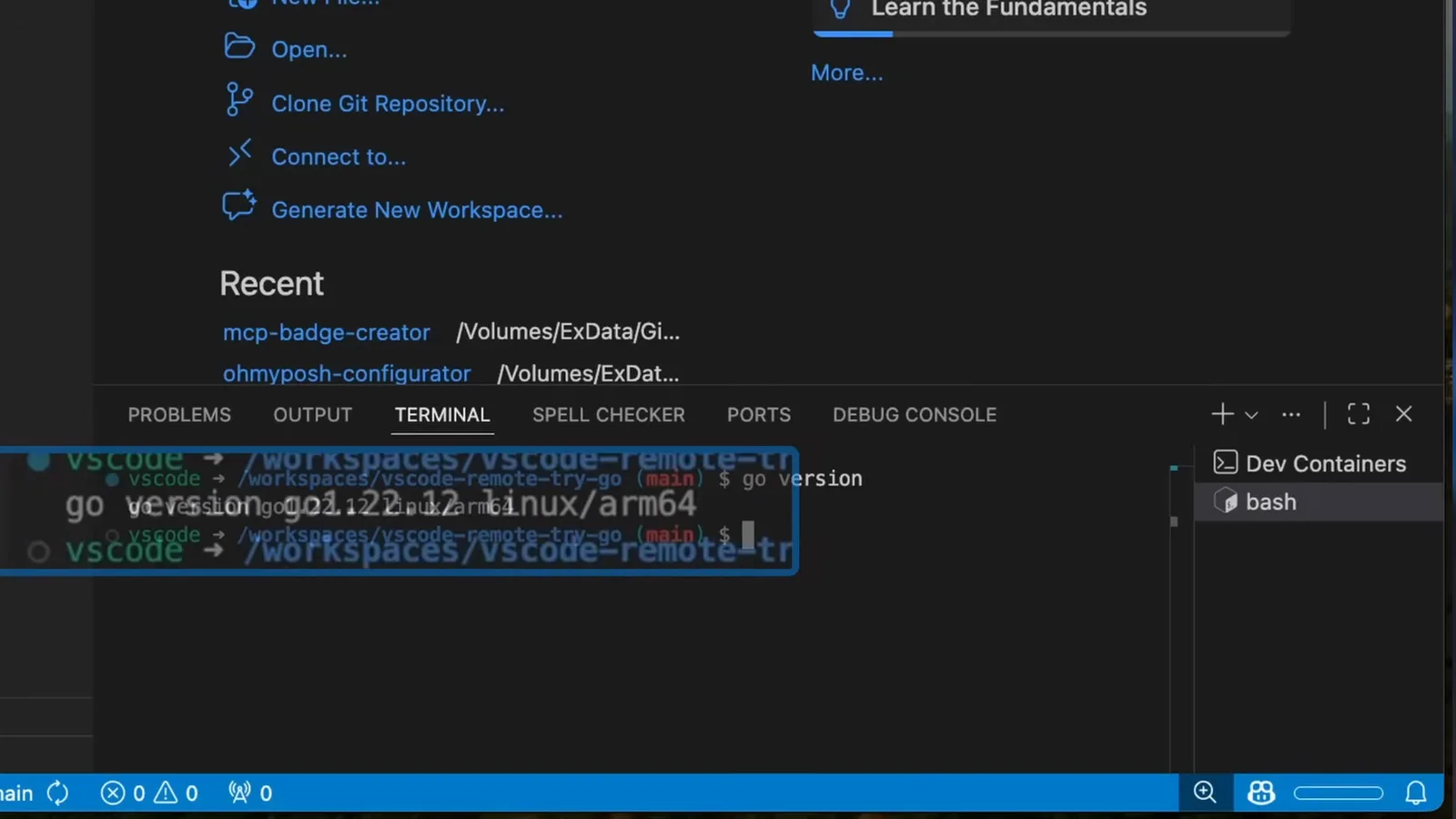 Integrated terminal inside the Go dev container with go version go1.22.12 linux/arm64 highlighted, proof the shell where you will run claude executes in the container