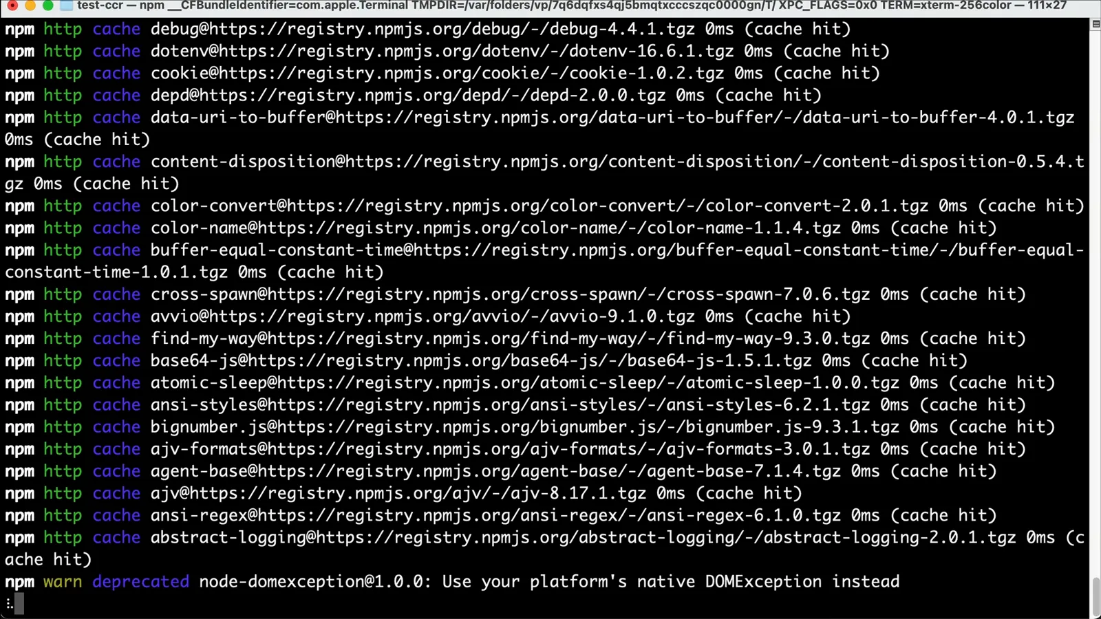 Terminal output while npm installs @musistudio/claude-code-router globally with cached package fetches and a node-domexception deprecation warning