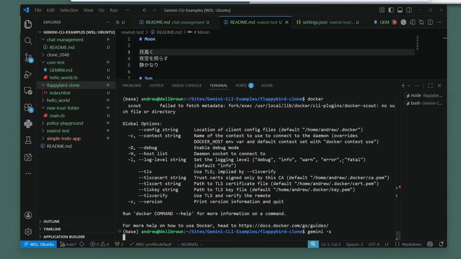 Docker CLI global options printed in a VS Code terminal to confirm the Docker engine is installed and answering before enabling container-based Gemini CLI sandboxing