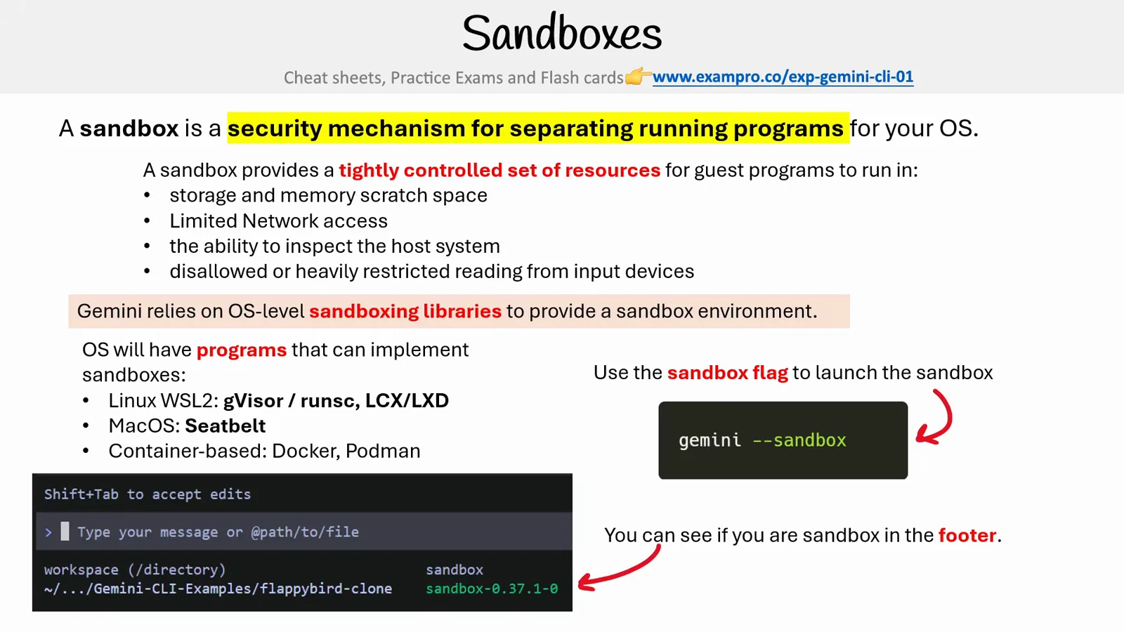 Gemini CLI course slide showing the gemini --sandbox launch command next to a terminal footer where a sandbox version chip confirms the session is sandboxed